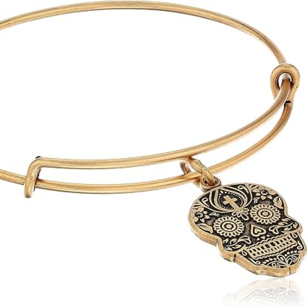 Alex and Ani Calavera Rafaelian Bangle Bracelet